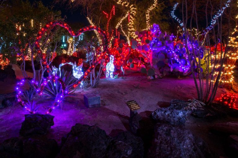 Family Fun in Las Vegas by Jimaii Design