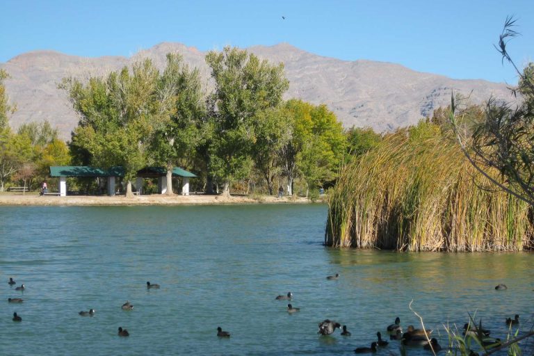 Family Fun in Las Vegas by Jimaii Design