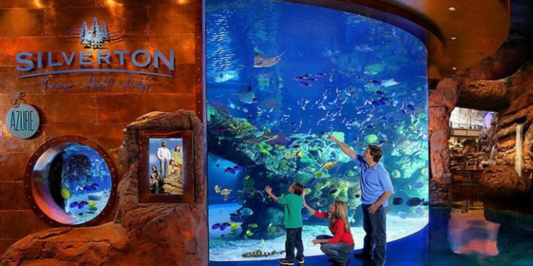 THE AQUARIUM AT THE SILVERTON HOTEL Family Fun in Las Vegas by Jimaii Design Family Fun in Las Vegas by Jimaii Design