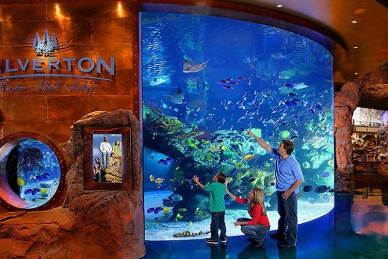 Family Fun in Las Vegas by Jimaii Design