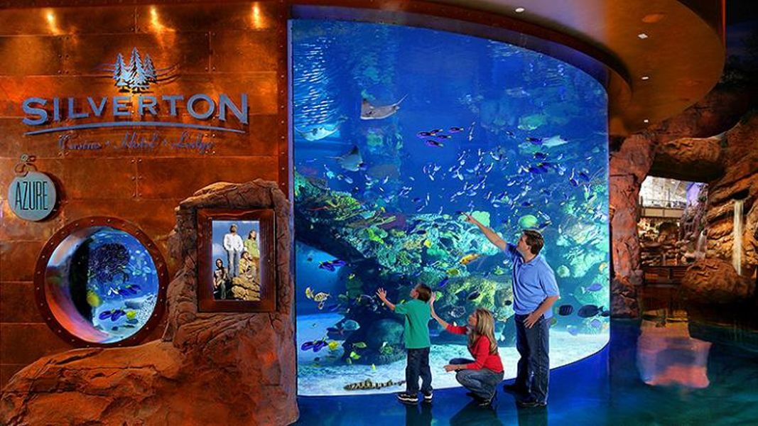 THE AQUARIUM AT THE SILVERTON HOTEL Family Fun in Las Vegas by Jimaii Design Family Fun in Las Vegas by Jimaii Design